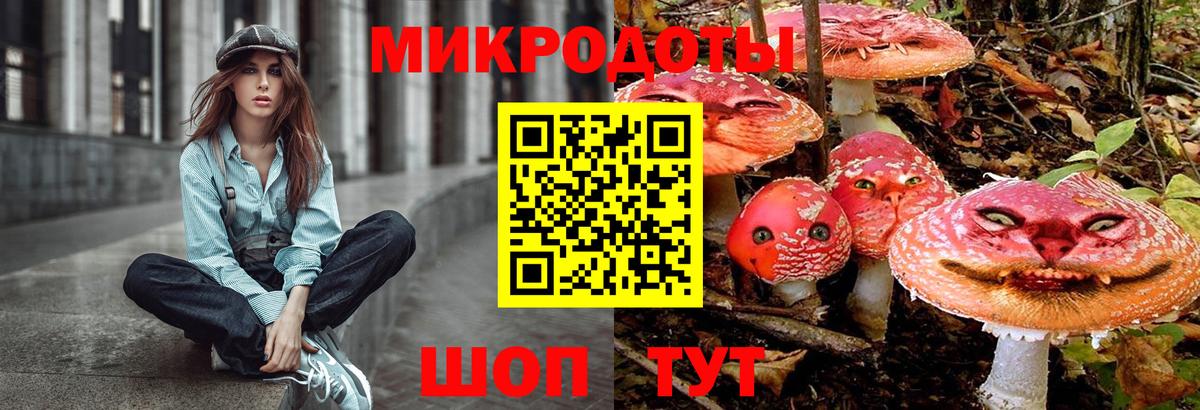 Псилоцибиновые грибы Cubensis  Псилоцибиновые грибы Psilocybe  Вход с VPN  даркнет сайт  Славянск-на-Кубани 