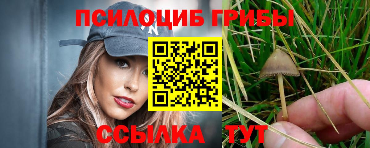 Галлюциногенные грибы MAGIC MUSHROOMS Славянск-на-Кубани